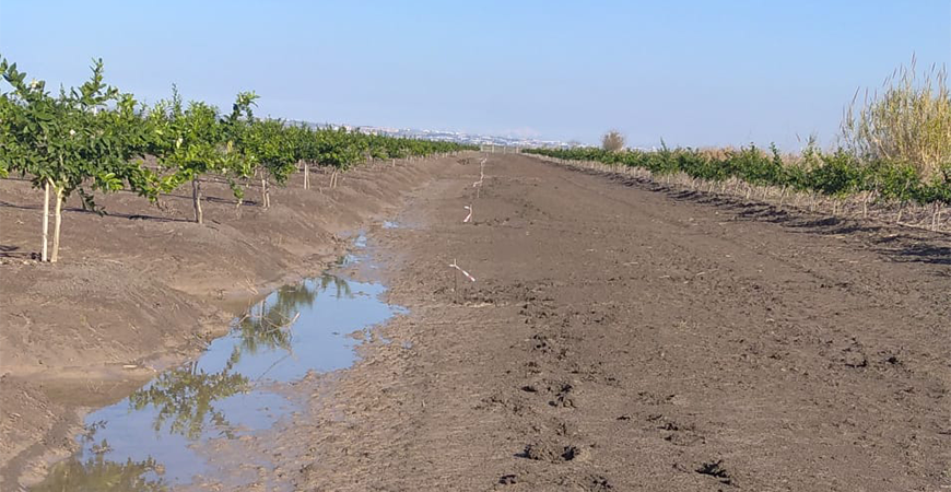 Adana-Yüreğir Ovası 1. Kısım At ve Tigh İkmali